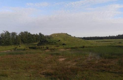 Ansager House | 4 person holiday home in Ansager-By Traum