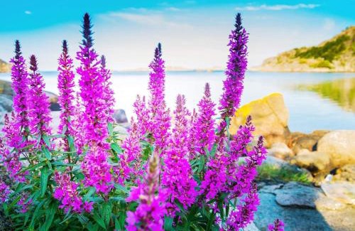 Lyngdal House | 4 person holiday home in lyngdal-By Traum