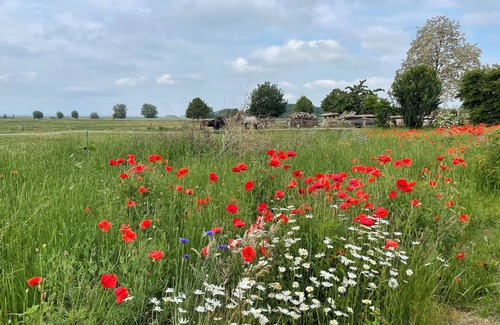 Dargen House | 4-sided courtyard with water views of the Szczecin Lagoon: perfect for family vacations