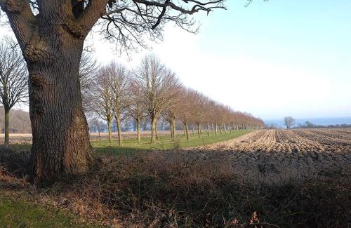 Juelsminde House | 4 star holiday home in Juelsminde-By Traum