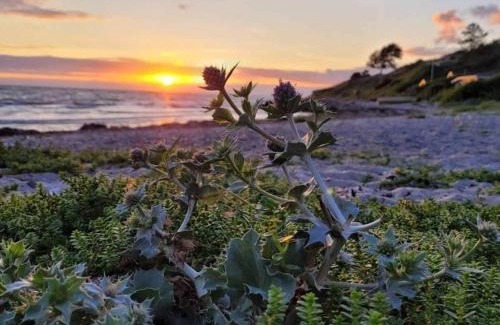 Frølunde Fed House | 4 star holiday home in Korsør