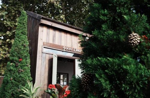 Mae Chan Hotel | 4000Dao- A Hilltop Hideaway & Experience in Doi Tung