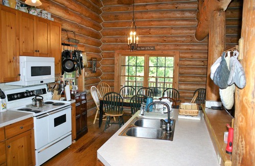 Big Rapids Cabin | 4th of July 2025! Family Reunion Log Cabin Lake View, Beach, Pontoon