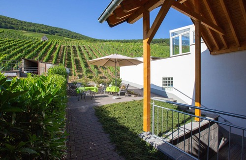 Piesport Apartment | 5* holiday apartment! Vacation directly at the winemaker! Piesport on the Moselle
