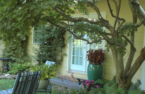 Middleburg House | 5 Min to center of Middleburg - Private Guest Suite w/private entrance & bath.