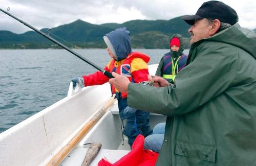 Meloy House | 5 person holiday home in ENGAVÅGEN-By Traum