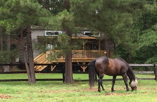 Columbus Cabin | 5 Star Cozy Cabin on Retreat-like Farm nr TIEC/Wineries