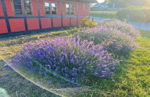 Frørup House | 5 star holiday home in Frørup