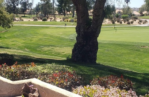 Sun Lakes Condo | 55+ Living, Course frontage! Stroll to Clubhouse/Pools/Restaurant and CHEAP GOLF