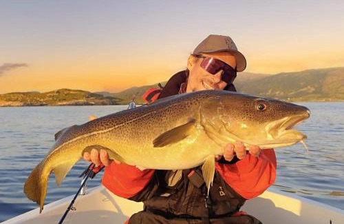 Bjarkoy Municipality House | 6 person holiday home in Bjarkøy