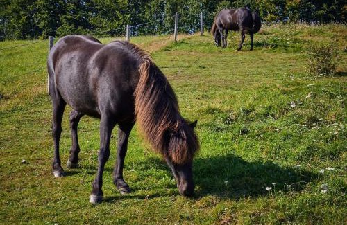 Aabenraa House | 6 person holiday home in Aabenraa-By Traum