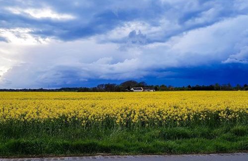 Udsholt Sand House | 6 person holiday home in Græsted-By Traum