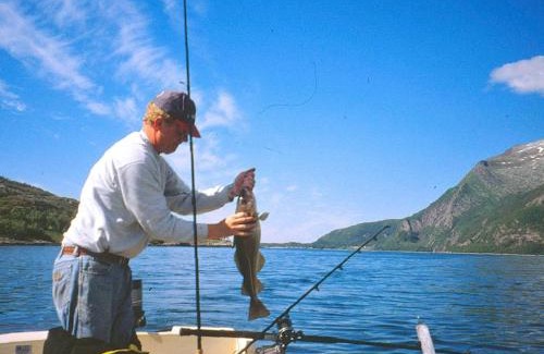 Naeroy House | 6 person holiday home in Foldereid-By Traum