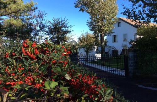 Pianoro Bed & Breakfast | 7 Olmi b&b Bologna