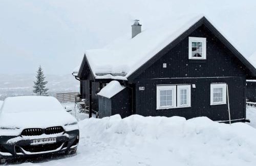 Rauland House | 7 person holiday home in Rauland-By Traum