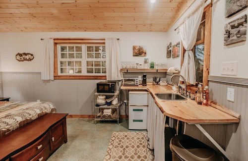 Maple Falls Cabin | 72MF - Rustic - Pets Ok - Sleeps 2 by RedAwning