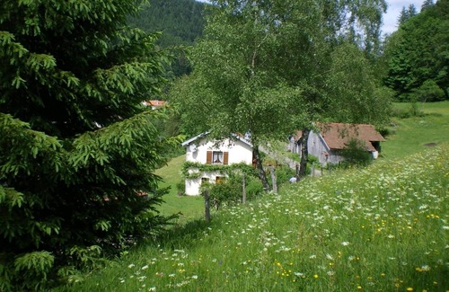 Sapois House | 8 km from Gérardmer, independent house in a peaceful setting, surrounded by nature.