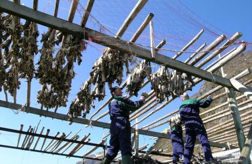 Flakstad Apartment | 8 person holiday home in Mølnarodden