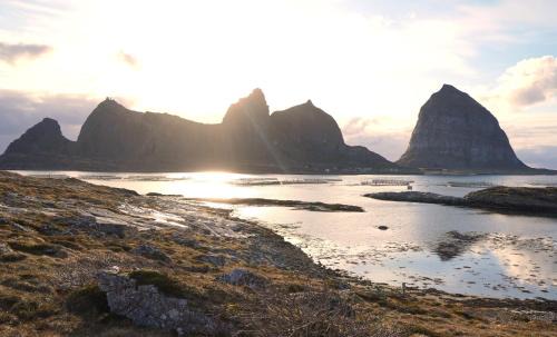 Traena Hotel | 8770 Træna