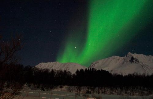 Lyngen House | 9 person holiday home in Lyngseidet