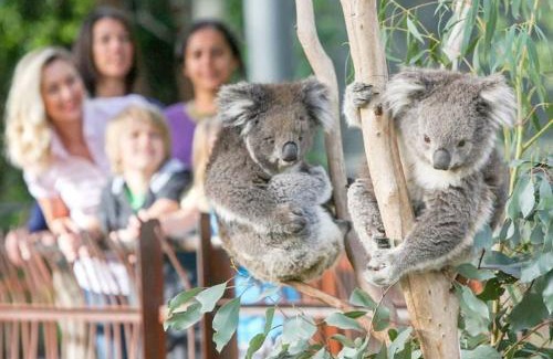 Parkville Apartment | A 3BR Apt Next to Melbourne Zoo FREE Parking