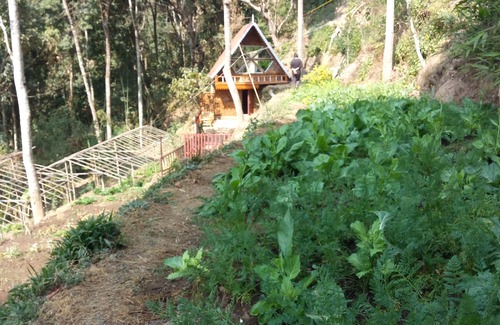 North Point Cottage | A bamboo cottage amidst nature to rejuvenate yourselves.