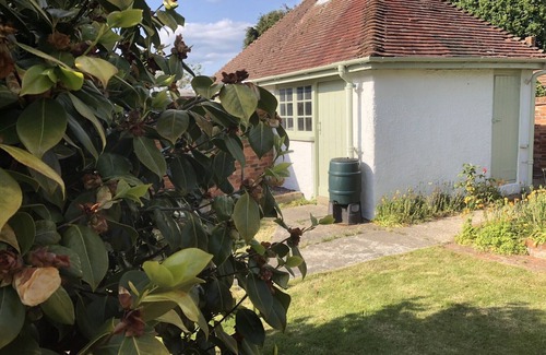 New Forest District Cottage | A beautiful cottage in the heart of the New Forest and a short drive to beaches