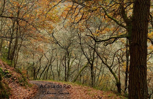Chantada Apartment | A Casa do Río