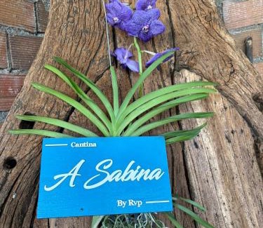 Catasol House | A casa do Rio - The River House