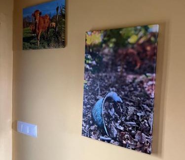 Carballedo House | A Chabola Carballedo