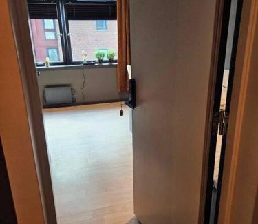 Alesund Apartment | A Cheaper Option to Hotel (free street parking)