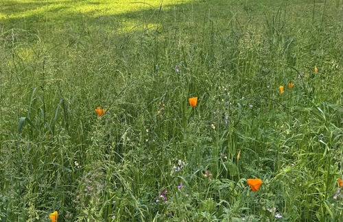 Our Cabin | A comfortable bivouac in the heart of nature. The perfect stopover for hikers.