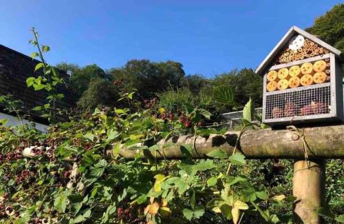 Lyme Regis House | A cosy hideaway on the Jurassic Coast