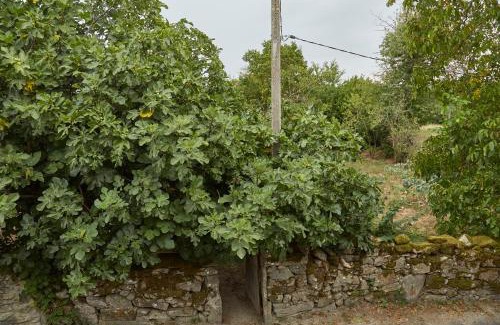 Sabariz Apartment | A Cucada