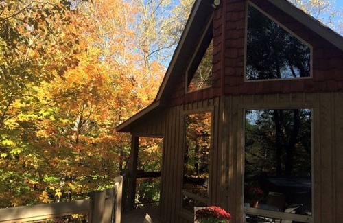Morrison County Cabin | A Four Seasons Tree House With All Amenities Of A Home