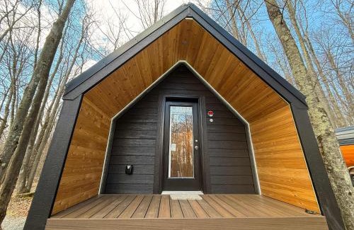 Wellsboro House | A-frame 1