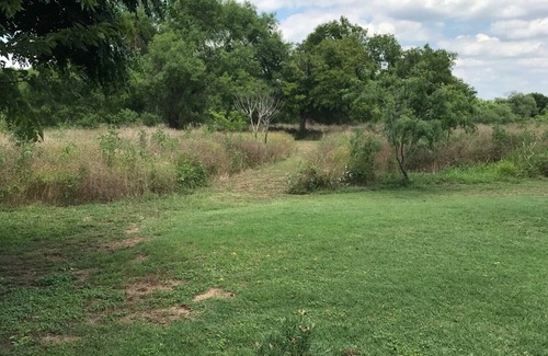 Cibolo House | A gem of a stay! Adjacent to180 acre nature park with swimming & pickleball