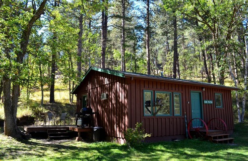 Keystone Cabin | A gorgeous 2 bedroom cabin at the back of the property
