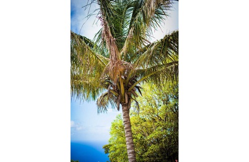 Windward Side House | A Hidden Gem On The Unspoilt Queen ~ SABA