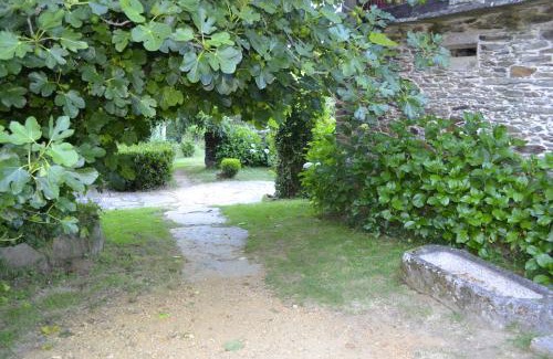 Oca de Abaixo House | A Pena de Augasantas