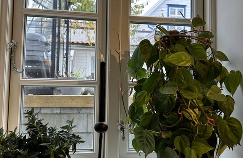 Stavanger Apartment | A Place To Stay Stavanger, Apartment 1