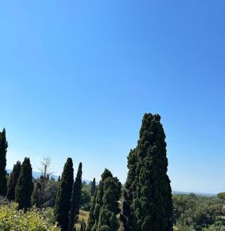 Bolgheri Apartment | a pochi passi dal centro