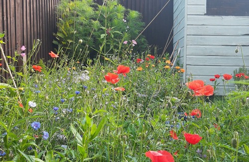 Rotherhithe House | A quiet room next to a park, Zone 2, near Canada Water Station