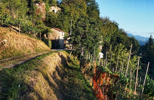 Bigliolo Villa | A stunning Tuscan villa with private pool set in its own vineyard,