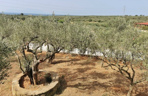 Alexandroupoli Villa | A tastefully decorated rustic country housenPet friendly - ideal for families