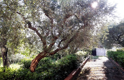 Spigno Saturnia Superiore House | A walk in the mountains.a stone's throw from the sea