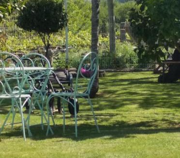 Meis Apartment | Abouciña