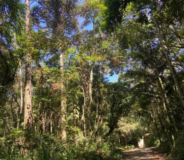 Sao Roque Other | Abraço da Natureza
