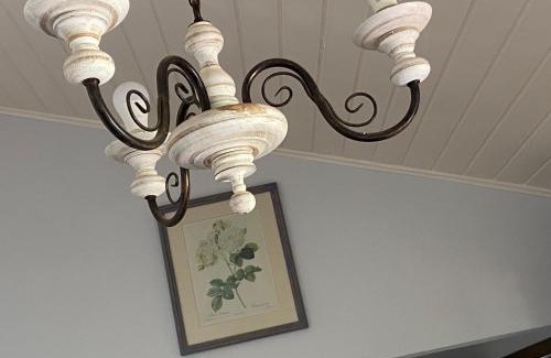 Sao Roque Other | Abraço da Natureza