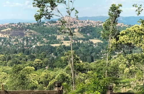 Rocca Priora Villa | ACCOMMODATION FOR TOURIST USE DOMVS TVSCVLVM